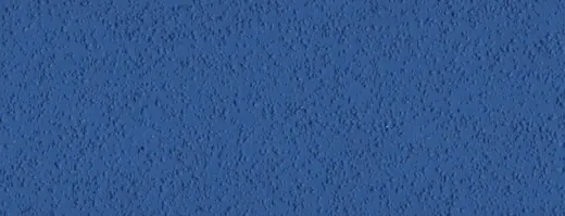 Выкрас: Biscayne Blue
