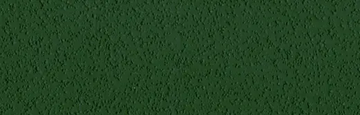 Выкрас: US Open Green